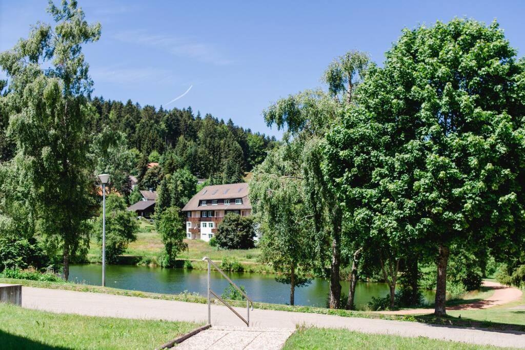 Ferienwohnung "Am Skilift" Herrischried Exterior photo