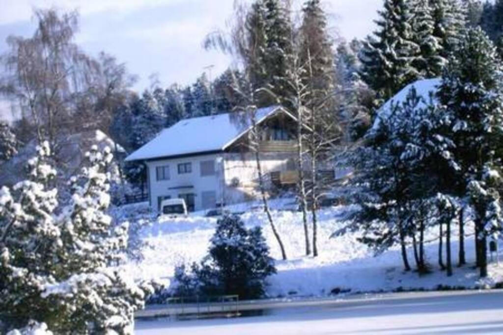 Ferienwohnung "Am Skilift" Herrischried Exterior photo